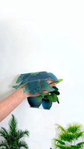 Combo Decal dán tường - Lá trần phối Nhiều chậu 02 ( 2 tấm )