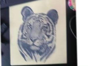 ไพวนออร์เดอร์ ผิวหนังฝึกสัก แผ่นหนังเปล่า 15x20cm สองด้าน หนังปลอม รอยสัก สําหรับแต่งหน้าถาวร