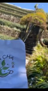 现货正宗TAIWAN Alishan Mi Xiang Ool现货正宗TAIWAN Alishan Mi Xiang Oolong 台湾茶叶 HMY-03-阿里山蜜香乌龙-150Gong 台湾茶叶 HMY-03-阿里山蜜香乌龙-150G