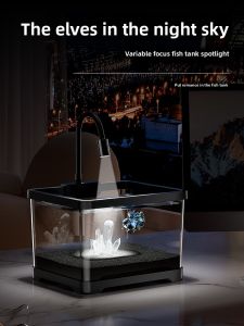 HUICHONG | Small Eco-Aquarium for Desk Creative Decor Fish Viewing