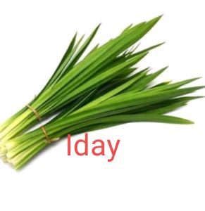 DAUN PANDAN.HARUMWANGGI.1 IKET :5 DAUN