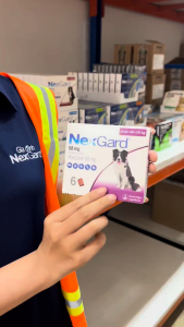 NexGard Dog [Size L 10-25kg]  -  Viên nhai mềm phòng Ngoại ký sinh (ve rận bọ chét ghẻ) dành cho Chó - 1 Hộp 6 viên