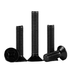 BAIRUITE | Black 304 Stainless Steel Flat Head Screws