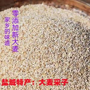 Barley 5jin