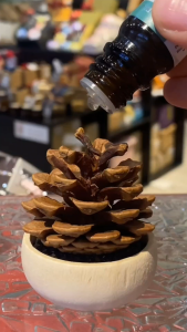 Blu Scents Pine Cone Diffuser- black gold stone elevate Your Space with Natural Fragrances