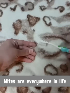 Dust Mites Repellent Spray Mite Removal Spray Professional Mite Removal Spray Penghalau Pepijat Hama Habuk 除螨喷雾 330ml With Japanese Technology  Suitable For Bedspreads Sofas And Clothing Pregnant Infant Use Natural Removal Of Acarid