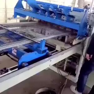 Foldable Dog Cage & Bold Iron Cage: A Comprehensive Guide