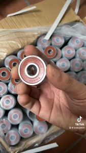 Bi bạc đạn Taiwan Nắp Nhựa NTN không dơ cabi dày chống nước