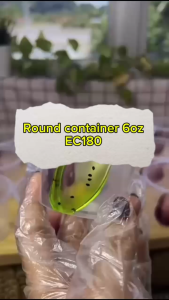 EC180 6oz Bekas Ais Krim Yogurt dan penutup Bekas Bulat PP Plastik Round Container with lids