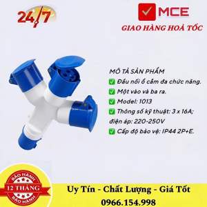 Ổ Phích Cắm Công Nghiệp Chia2 Chia3 1pha 16A 32A 3 Chấu