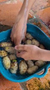 Nước cốt trái nhàu ngâm đường cát vàng đã lọc hạt chỉ lấy thịt nhàu và nước