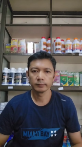 ** ยกลัง 120 ซอง ** แองเจิล (100g) สาหร่าย+อะมิโน 🌿💐🌸 ฮอร์โมนพืช ธาตุอาหารเสริม ธาตุอาหารรอง กระตุ้นแตกราก ฟื้นฟูลำต้น