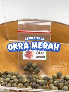 Benih Okra Merah Unggulan & Bibit Sayuran Berkualitas