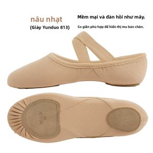 Giày Khiêu Vũ Lưới Co Giãn Cho Nữ Giày Khiêu Vũ Chuyên Nghiệp Bằng Vải Co Giãn Đế Mềm Giày Tập Luyện Giày Móng Vuốt Mèo