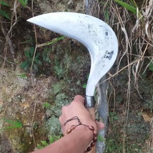 Sabit Arit Baja Per Tempa Alat Pemangkasan Rumput