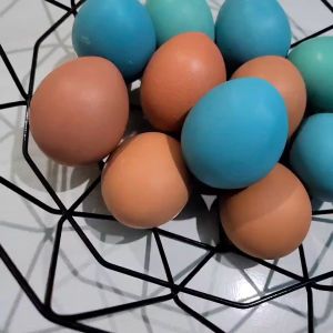 Replika Telur / dummy eggs / dekorasi / hiasan pajangan etalase