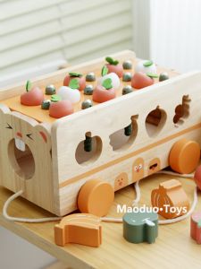 Magnetic Fishing and Bug Catching Toy for 3 Year Olds