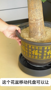 Khay Đỡ Chậu Hoa Thoáng Khí Có Bánh Xe - Đế Bánh Xe Di Chuyển Tiện Lợi