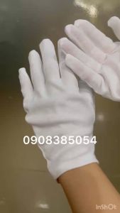 Găng tay vải cotton màu trắng (10 cặp)