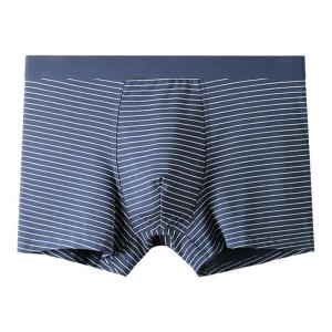 Quần Lót Nam Modal Cotton Thoáng Khí Kháng Khuẩn Quần Đùi Lưng Giữa Kẻ Sọc Trẻ Trung Quần Ngắn Không Đường May Thoải Mái