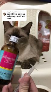 60ml 120ml Free 3cc Syringe LC Vit Multivitamins Syrup Vitamins Supplements Pets Dogs Cats Dog Cat All Stages Adult Puppy Kitten