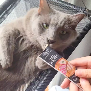 [Gói 5 Thanh] Súp thưởng Cho Chó Mèo Absolute Holistic Bisque