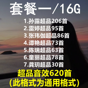 Sun Lu Fever Vocal Car USB Flash Disk 2024 New Arrival Lossless High Sound Quality HiFi Song USB Flash Disk Audio Car