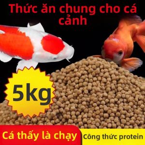 ANJIESHUN | Thức Ăn Cá Vàng Koi Phôi Nhỏ Đa Năng