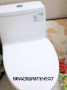 Yinian | Stain Remover & Deodorizing Toilet Cleaner
