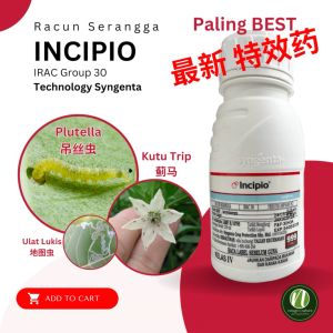 Racun Serangga INCIPIO isocycloseram 18.1% Insecticide Syngenta BARU Group 30 Plutella/Kutu Trip/Ulat Batang/Ulat Lukis Incipio 18.1 - Lazada
