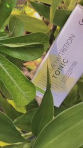 Green Angelica Hair Tonic Penumbuh Rambut Atasi Kebotakan - Menumbuhkan Rambut - Tonic Memperkuat Akar Rambut 100ML BPOM