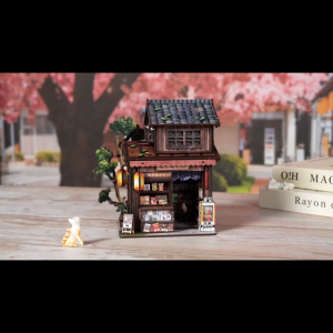 DIY 3D Wooden Puzzle Kasuga Grocery Store Learning by Doing Self Assembly Educational Craft AM01-006