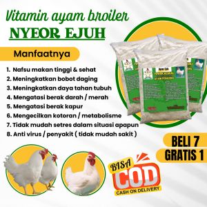 VITAMIN AYAM PEDAGING / AYAM BROILER JAMU NYEOR EJUH EXTRA GULA UNTUK NAFSU MAKAN TINGGI 100% ALAMI