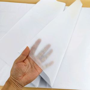 17g Red And Green Checkered Gift Wrapping Paper Holiday Packaging Paper Pear Patterned Artistic Floral Simulation Plant Gardening