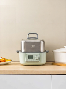 BUYDEEM | Multifunctional Automatic Reservation Home Use Electric Steamer