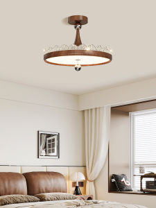 DGY | Vintage Luxury Teardrop Design Ceiling Light