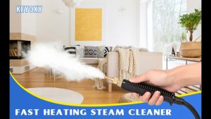 【Malaysia shipped in 24hours】 Steam Cleaner Steamer for Cleaning 2500W High Pressure Steam Machine High Temperature Handheld Steamer for Car Detailing Portable Steam Cleaning Machine for Home Use Auto Detailing Kitchen EU plug 蒸汽清洁机