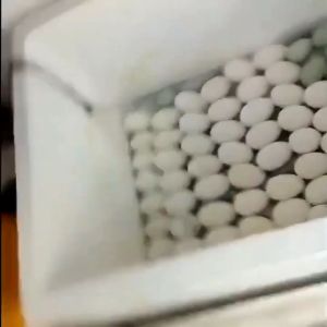 SIEMEN Automatic Digital Incubator: Temperature Control Egg Hatching Machine