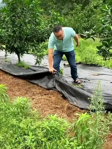 🌱 100M 200M Heavy Duty Weedmat 90GSM Width Weed Barrier Control Mat Thick Weedmat / Affordable Ground Cover / Grass Cover防草布