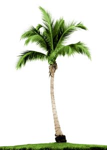 Solar Light 600W Bulb Outdoor Portable Solar Powered Led Bulb Charged Garden Lamp Yard Hiking Tent Fishing Camping Emergency