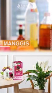 Ekstrak Kapsul Kulit Manggis Suplemen Kesehatan Tubuh Obat Imun Antioksidan Tinggi isi 60