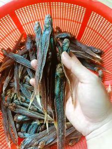 Khô Cá Kèo Đỏ Tự Nhiên Cà Mau Thơm Ngon Vị Lạc- ĐẶC SẢN MINH TRIẾT