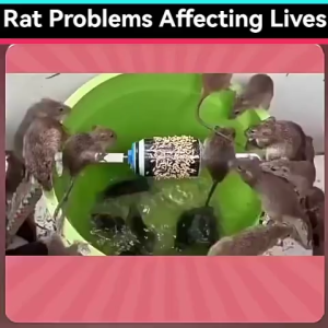 10Pcs Rat Repellent 【German Imports】Rat Killer Poison Rat Repellent For Home Safe And Non-Toxic Powerful Rats Repeller Mothballs
