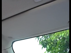 Car Visor Organizer Leather Hanging Bag Multi Pocket Storage for Business Card Pen Sunglasses Office Use