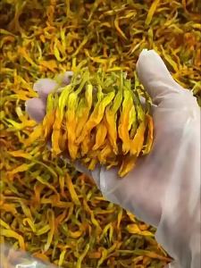 Taiwan New Variety Rongjie Speciality Golden Needles 500g