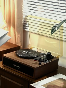 Middix Vinyl Record Player Bluetooth Speaker Built-in Speaker with USB RCA Output Retro Phonograph Turntable