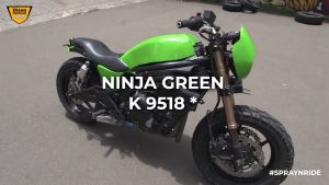 Diton Premium K9518 Ninja Green K 9518 Kawasaki Colors Motorcycle Spray Paint 400ml