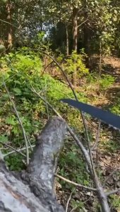 GERGAJI KAYU LIPAT PERKAKAS TUKANG / GERGAJI SAKU PRAKTIS RINGAN DAN MUDAH DIBAWA