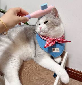 Teeker Pet Hair Removal Comb One Click Self Cleaning Grooming Brush DeShedding Comb for Short & Long Hair Pet Grooming Supplies for Cats & Dogs