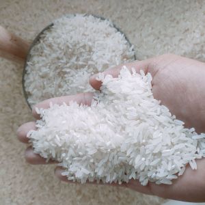 Beras Premium 1 Liter/ Beras Premium Murah/ Beras Premium super